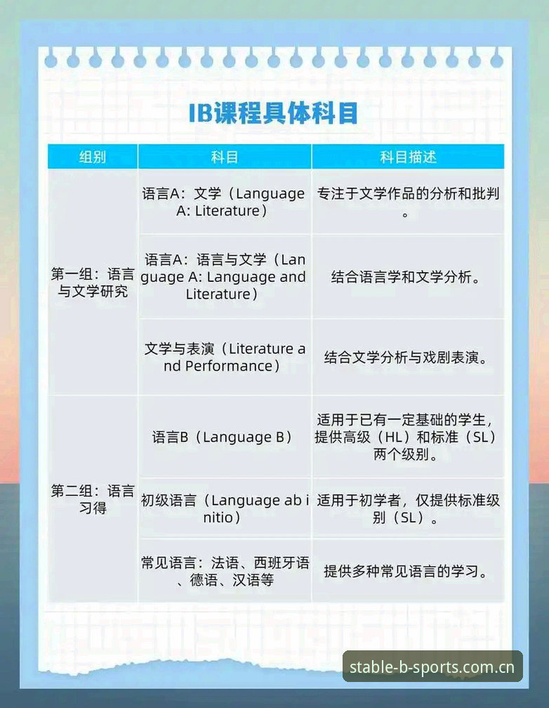 B体育官方入口体验深析：稳定通道如何重构电竞赛事直达路径