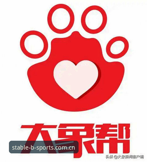 B体育官方入口一键直达，安卓安装教程与高频问题解答